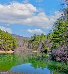 41 Golden Delicious Road Clarkesville, GA 30523 - Photo 11 of 13 a view of a garden with a building in the background