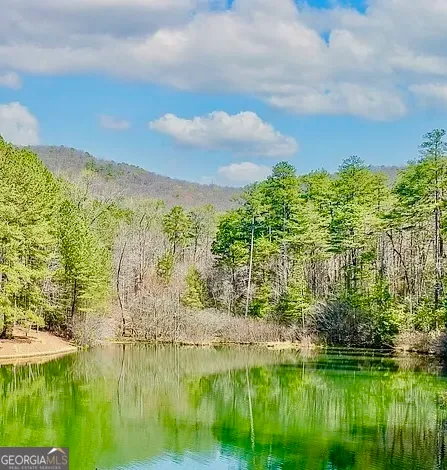 $25,000 | 41 Golden Delicious Road, Clarkesville, GA 30523