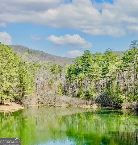 41 Golden Delicious Road Clarkesville, GA 30523 - Photo 12 of 13 a view of lake with green space