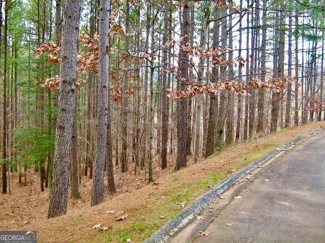 a view of a backyard of the house
