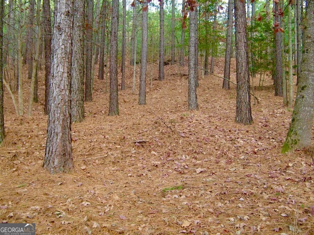 41 Golden Delicious Road Clarkesville, GA 30523 - Photo 5 of 13 a backyard of a house with lots of green space