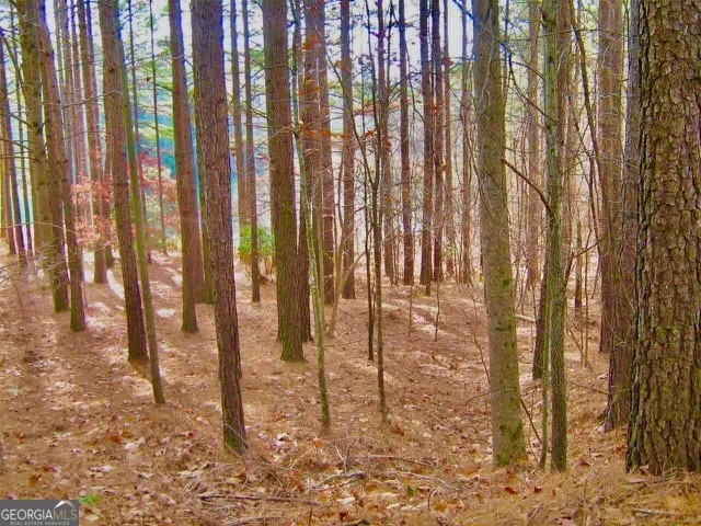 a view of a pathway with a yard