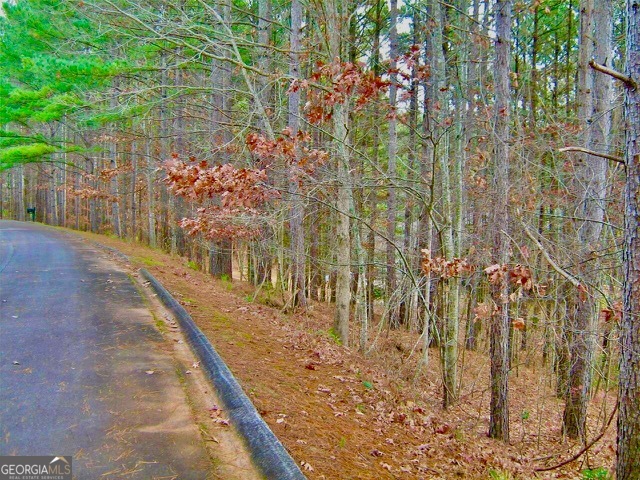 41 Golden Delicious Road Clarkesville, GA 30523 - Photo 9 of 13 a view of a pathway with a yard