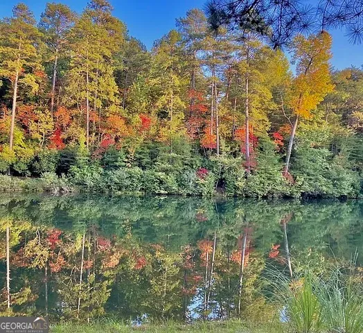 a view of a garden with a building in the background