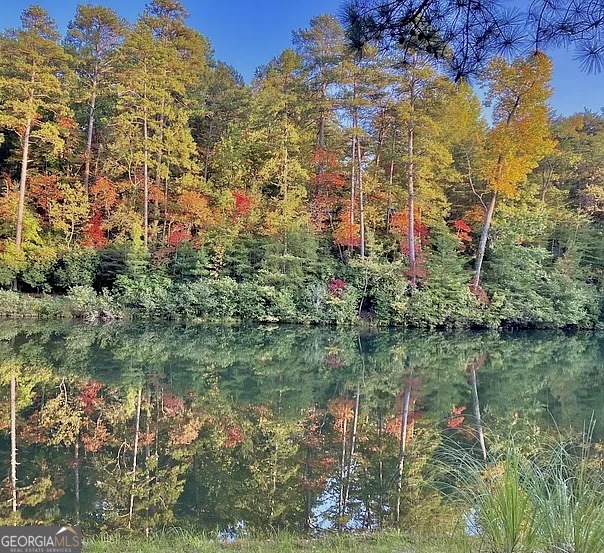 41 Golden Delicious Road Clarkesville, GA 30523 - Photo 10 of 13 a view of lake