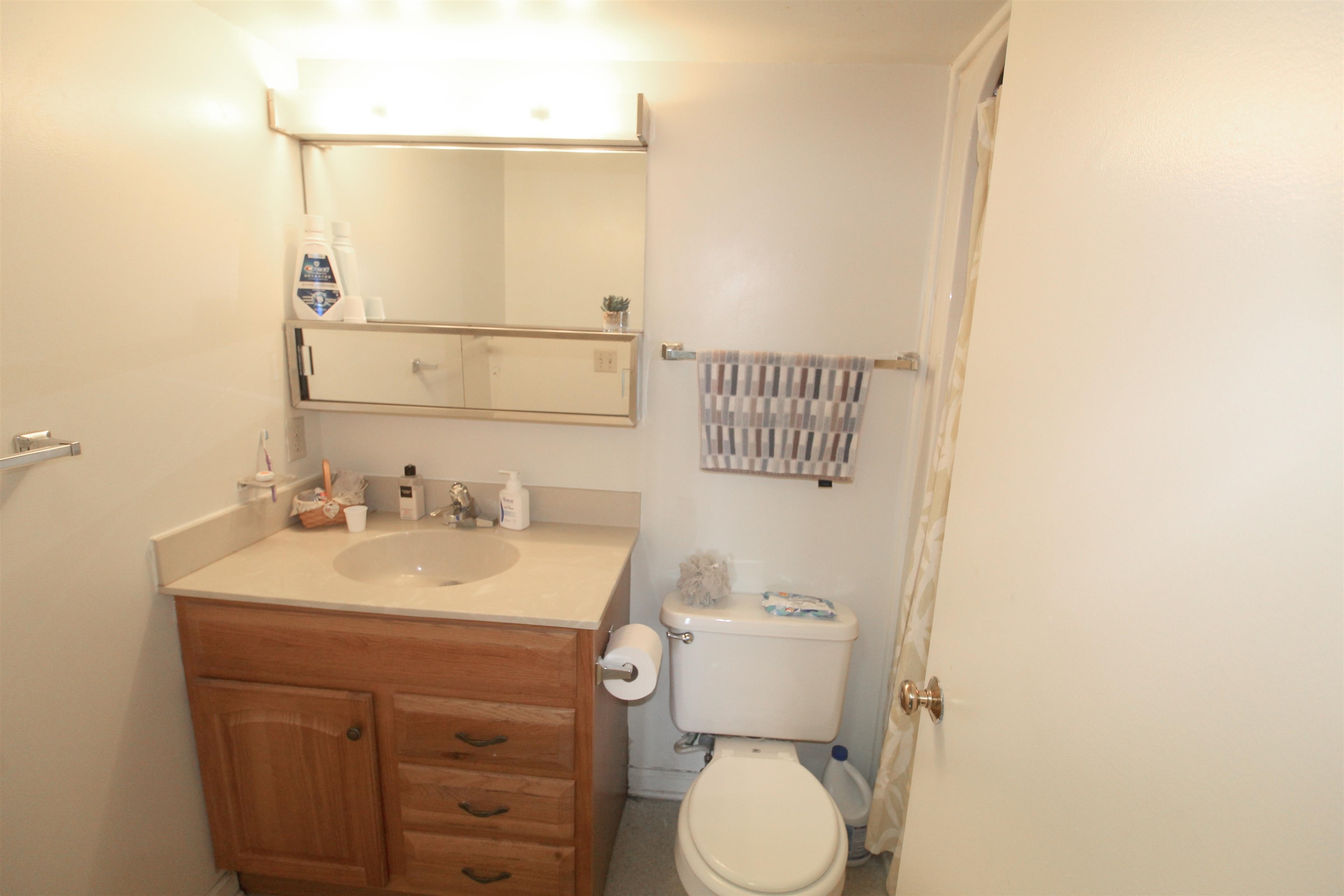 1116 Blue Ridge Drive, Unit 10 Harrisonburg, VA 22802 - Photo 19 of 20 a bathroom with a sink a toilet and mirror