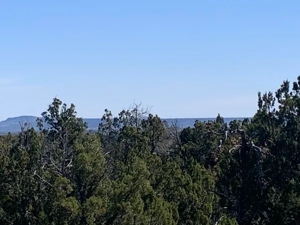 $149,900 | 3621 Meadow Wood Drive, Happy Jack, AZ 86024