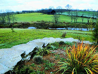 741 Collins Road Paris, KY 40361 - Photo 6 of 7 Photo 6