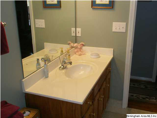 6433 Mountain Ridge Road Trussville, AL 35173 - Photo 10 of 32