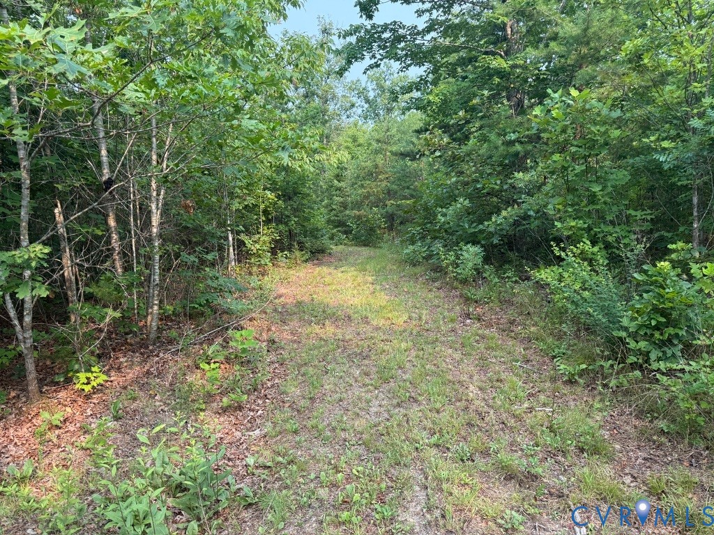 0 Liberty Chapel Road Appomattox, VA 24522 - Photo 51 of 57
