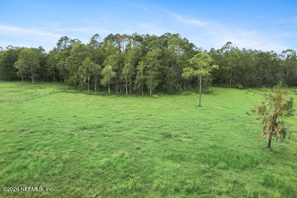 Land and tree line