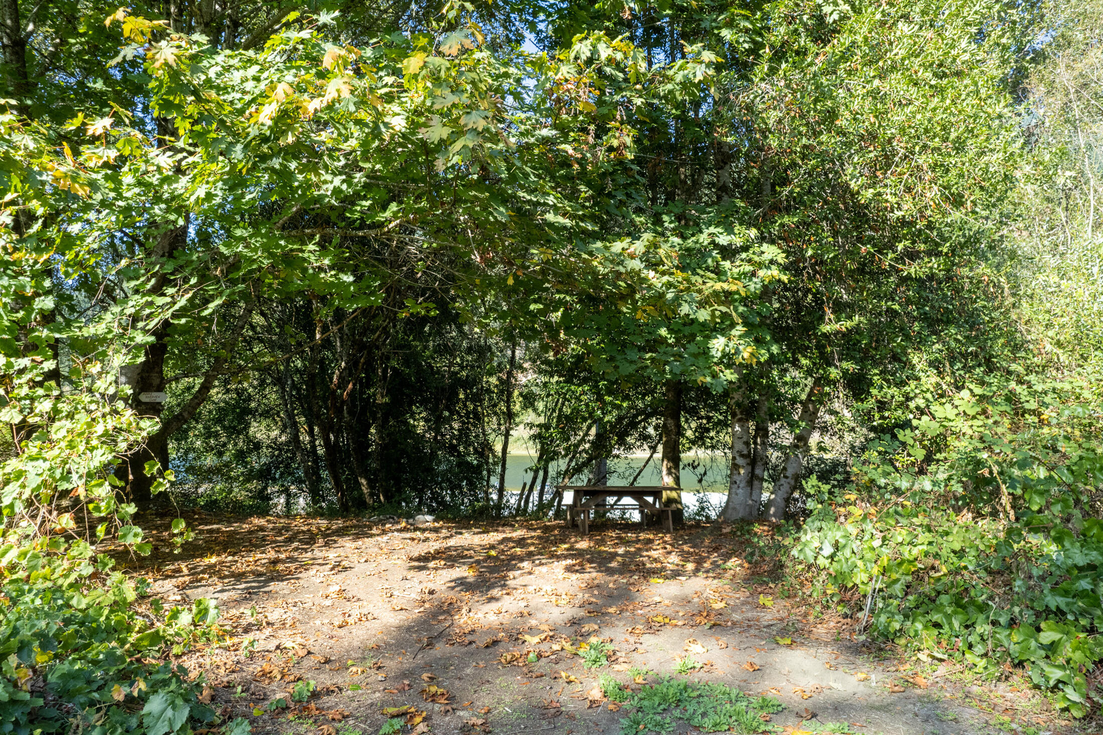 13065 Johnson Road Hoopa, CA 95546 - Photo 79 of 95