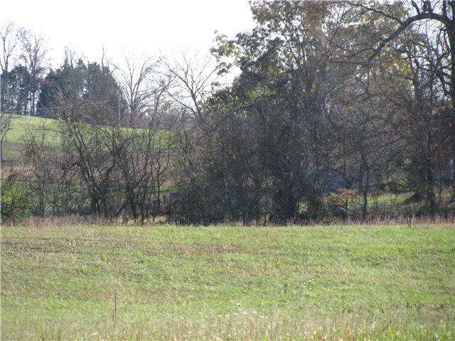 10 Gunn Road Adams, TN 37010 - Photo 3 of 5 a view of outdoor space with a lake view