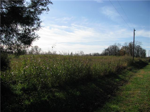 10 Gunn Road Adams, TN 37010 - Photo 4 of 5 a view of a city from a yard