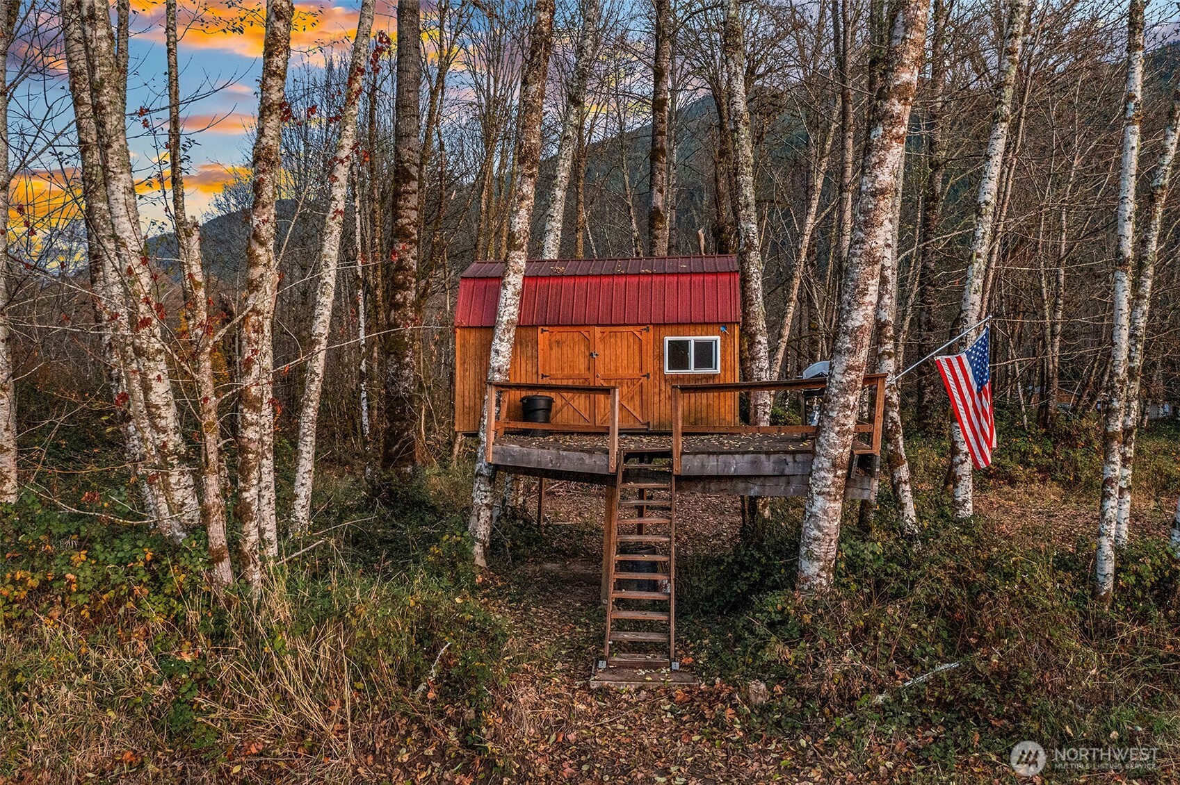 250 Cedar Grove Road Randle, WA 98377 - Photo 4 of 22