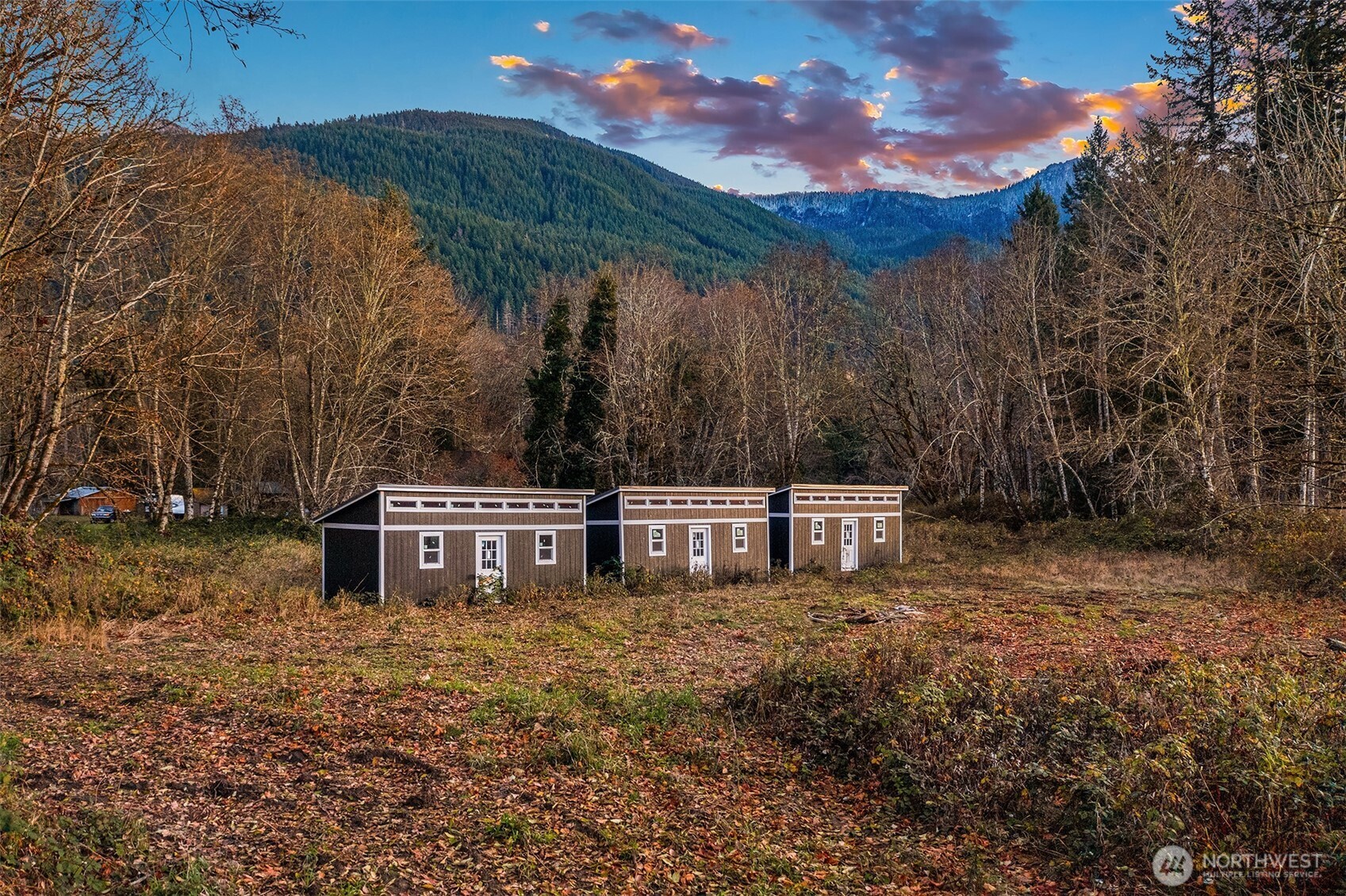 250 Cedar Grove Road Randle, WA 98377 - Photo 9 of 22