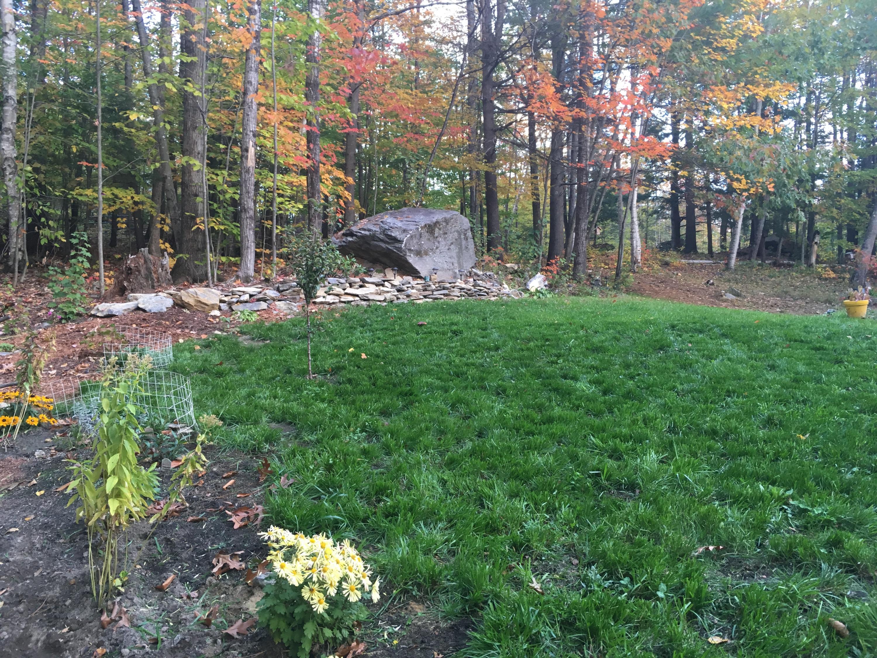 965 Canton Point Road Dixfield, ME 04224 - Photo 41 of 46 perennials