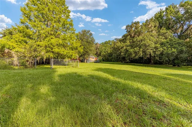 a close up of a flower in a garden