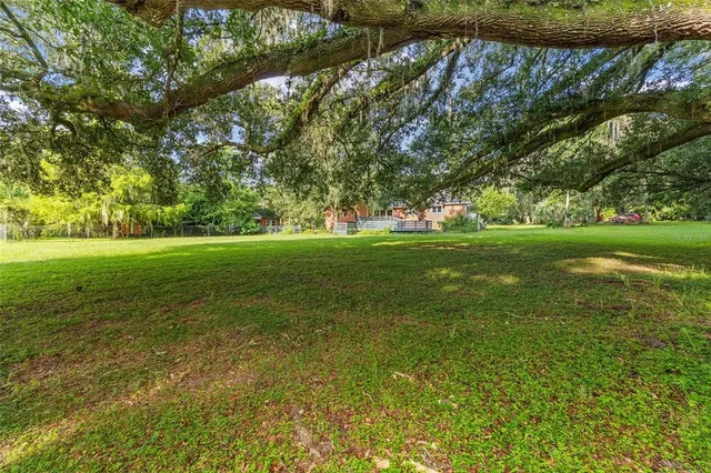 a backyard of a house with lots of green space and trees all around