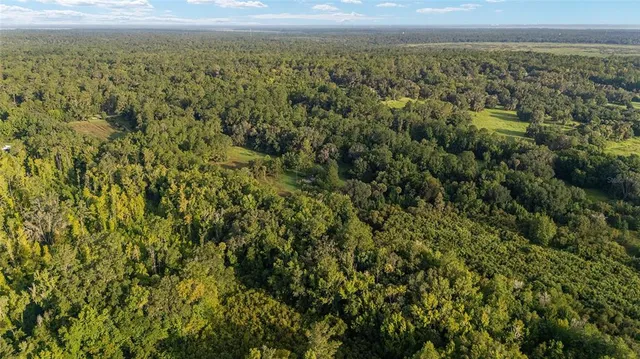 $829,000 | 22157 Northwest 87th Avenue Road, Micanopy, FL 32667