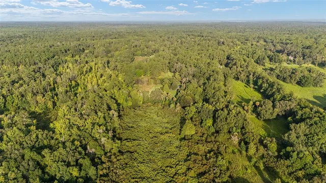 $829,000 | 22157 Northwest 87th Avenue Road, Micanopy, FL 32667