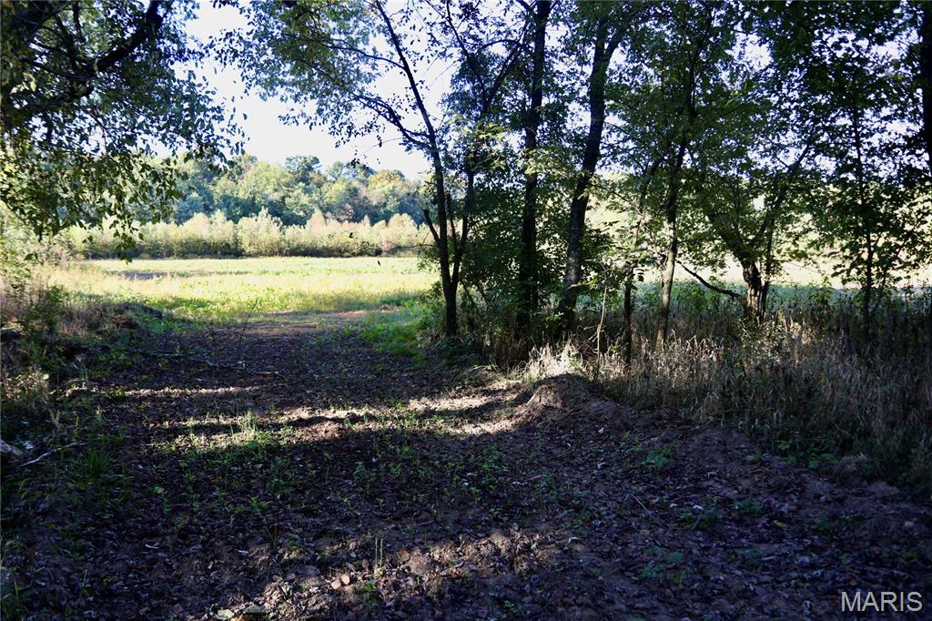1 Landmark Road Iuka, IL 62849 - Photo 15 of 40 Gallery Image 15