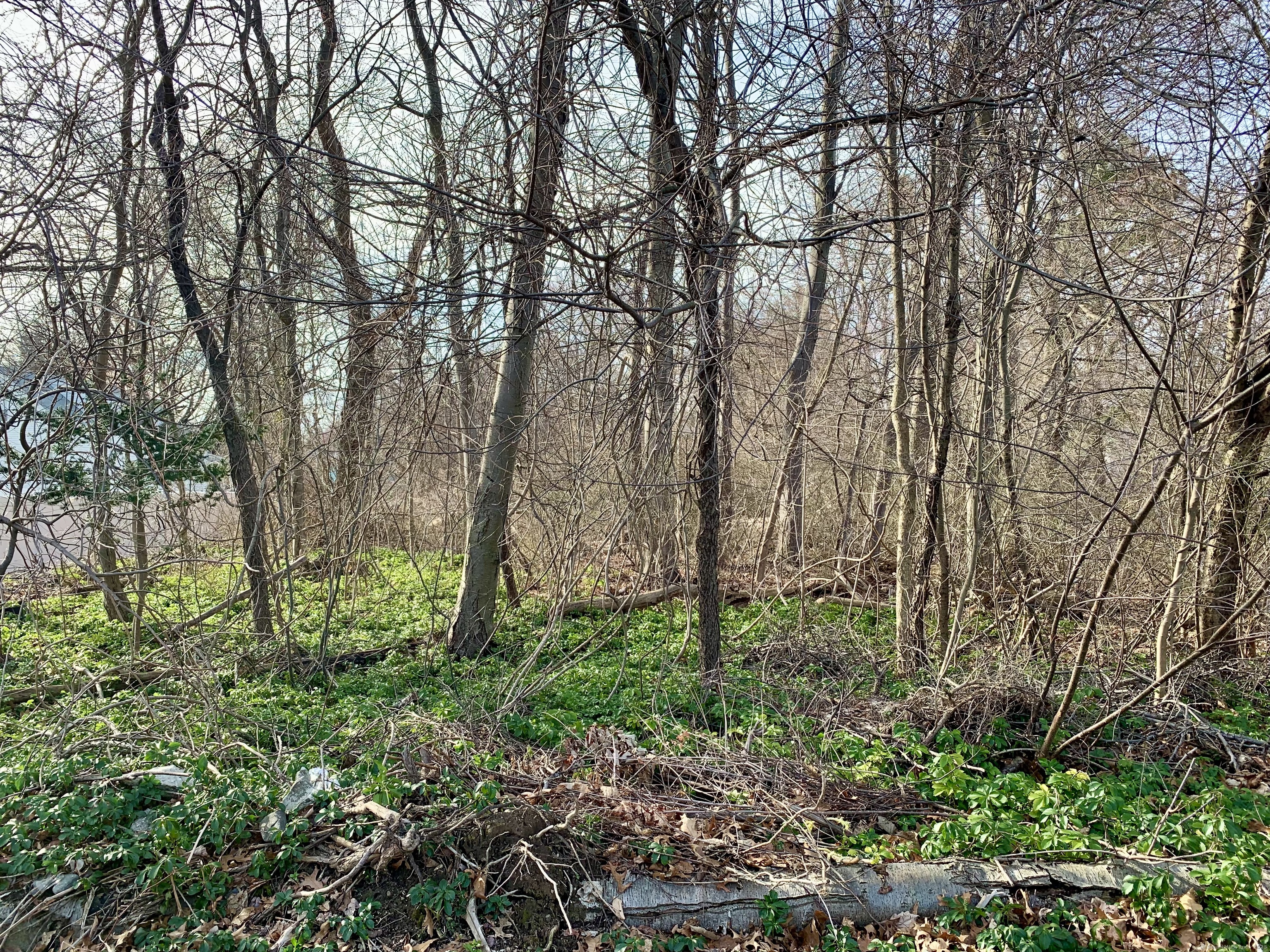 Como Avenue Waterbury, CT 06708 - Photo 1 of 1 Gallery Image 1