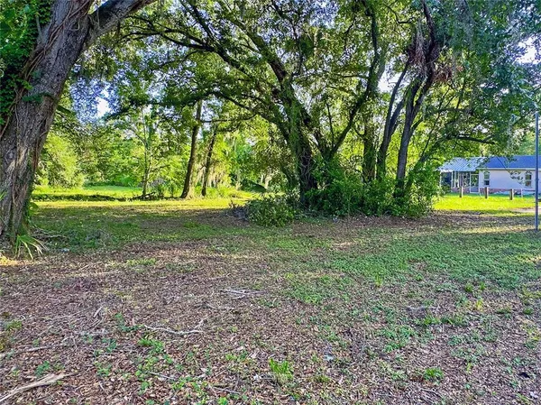 a view of outdoor space with trees all around