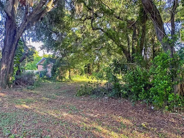 a tree in the middle of a yard