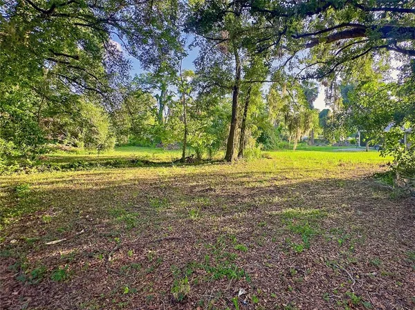 a view of a yard with a tree