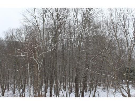 352 Reed Street Warren, MA 01083 - Photo 16 of 19