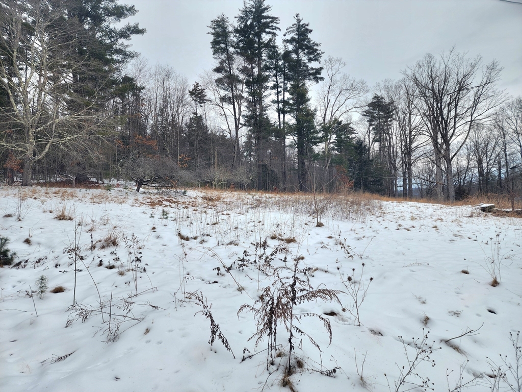 12 A Bumstead Road Monson, MA 01057 - Photo 2 of 13 a view of snow in the yard