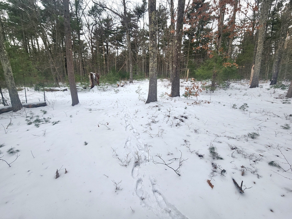 12 A Bumstead Road Monson, MA 01057 - Photo 4 of 13 a view of a yard covered in snow
