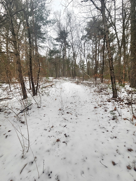 12 A Bumstead Road Monson, MA 01057 - Photo 5 of 13 a view of a yard covered in snow