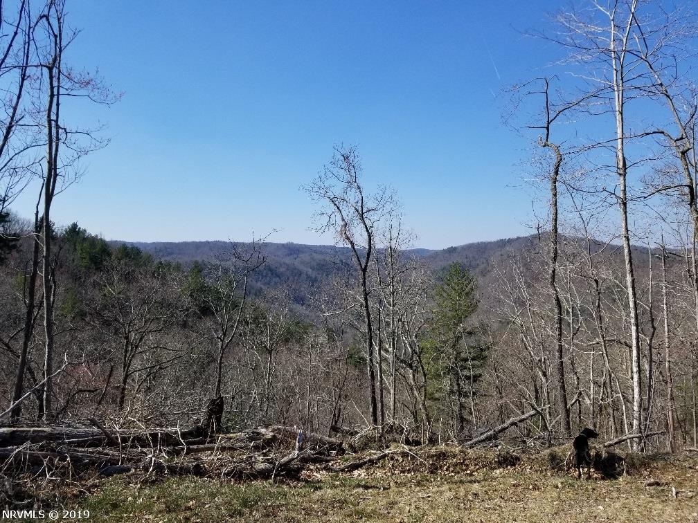 0 Daniel Road Northeast Copper Hill, VA 24079 - Photo 2 of 38 Gallery Image 2