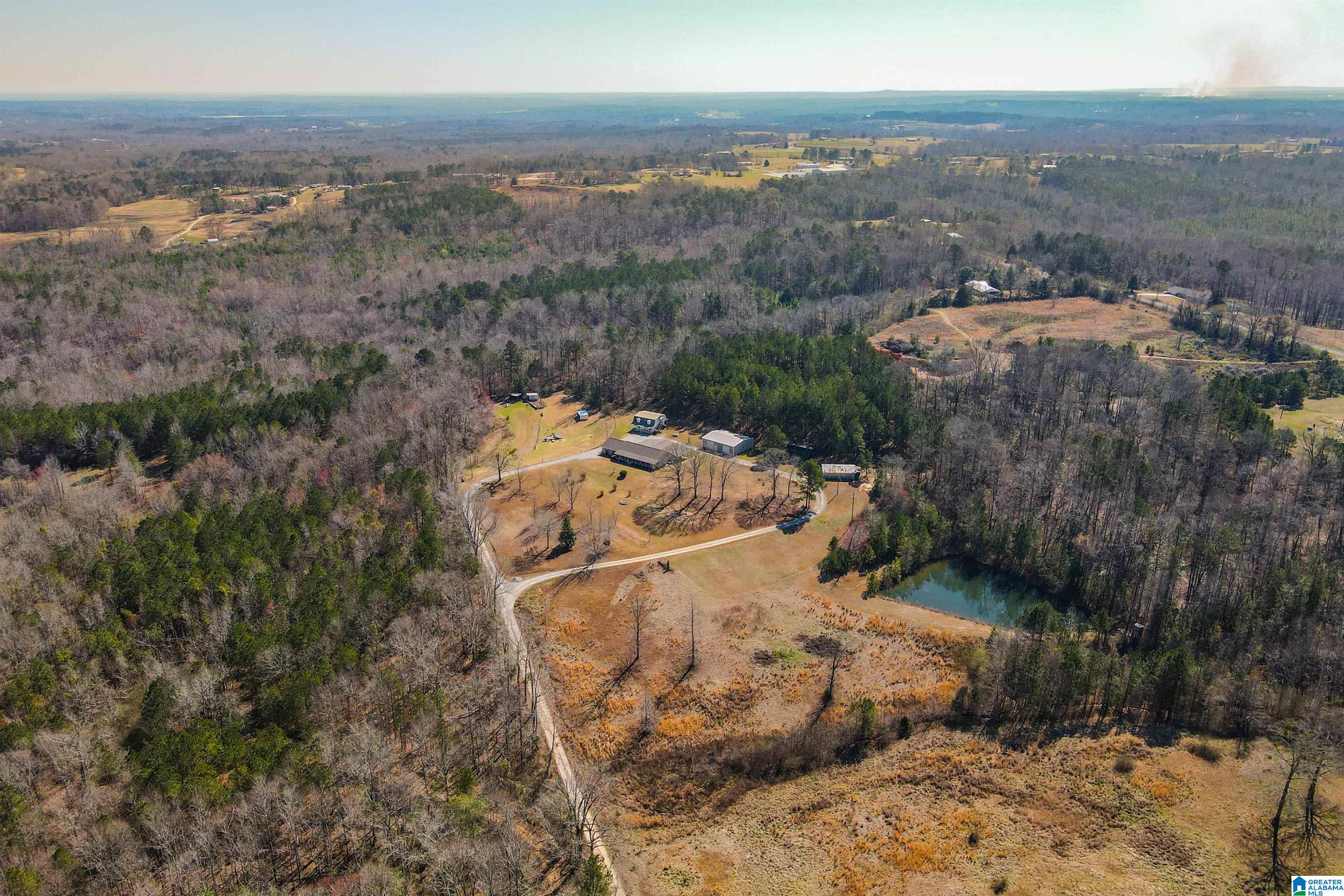 3631 County Road 69 Clanton, AL 35045 - Photo 8 of 50