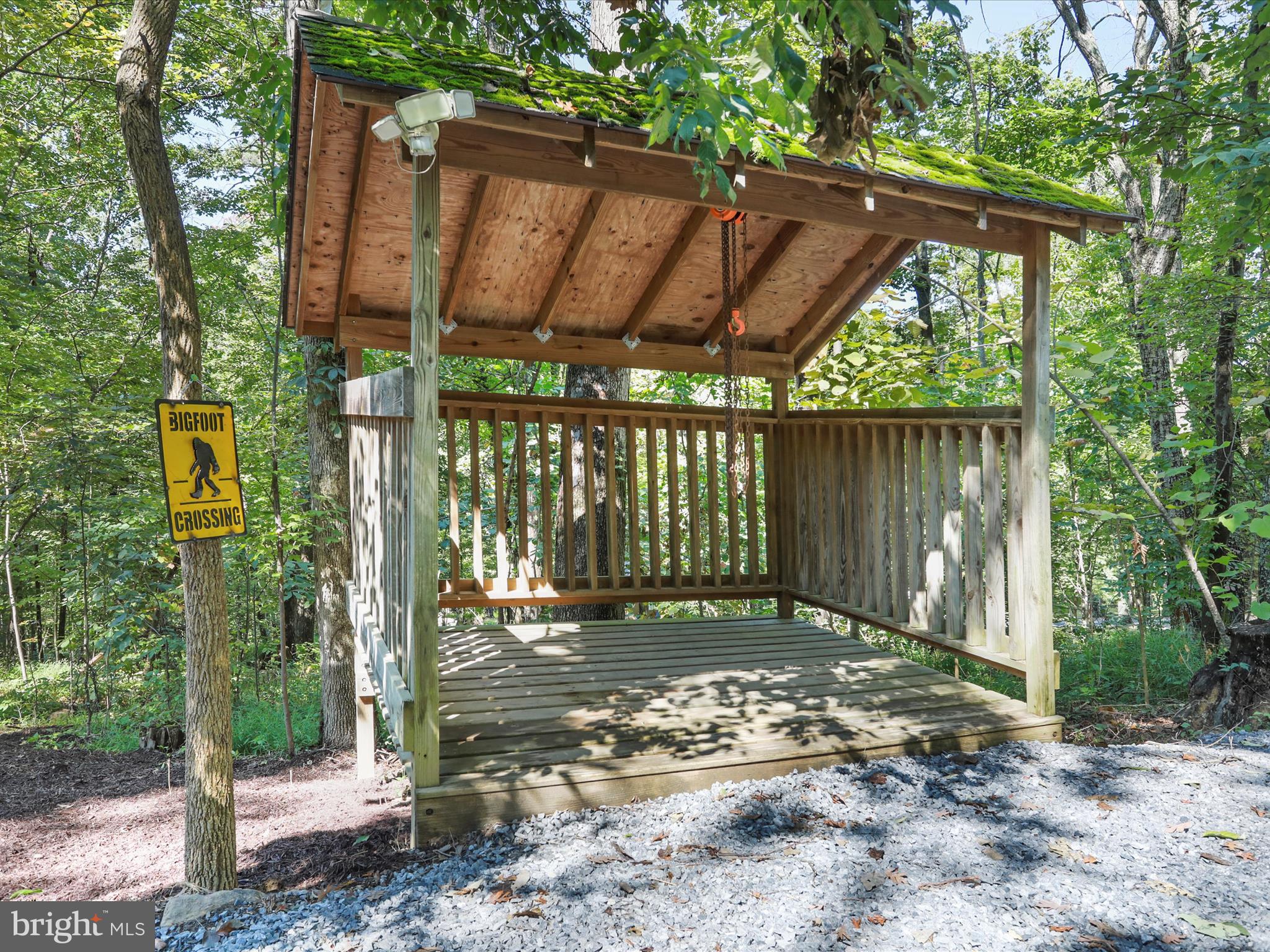 570 Cedar Road Strasburg, VA 22657 - Photo 32 of 47 a view of a small yard