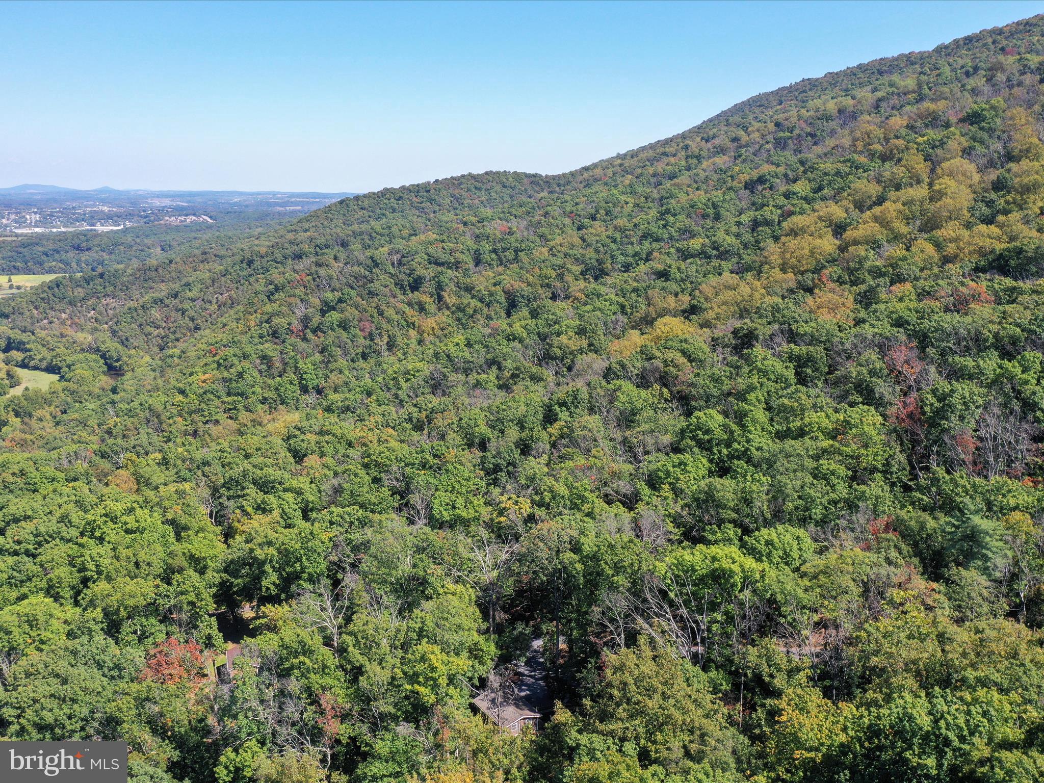 570 Cedar Road Strasburg, VA 22657 - Photo 37 of 47 a view of a large trees with mountains in the background