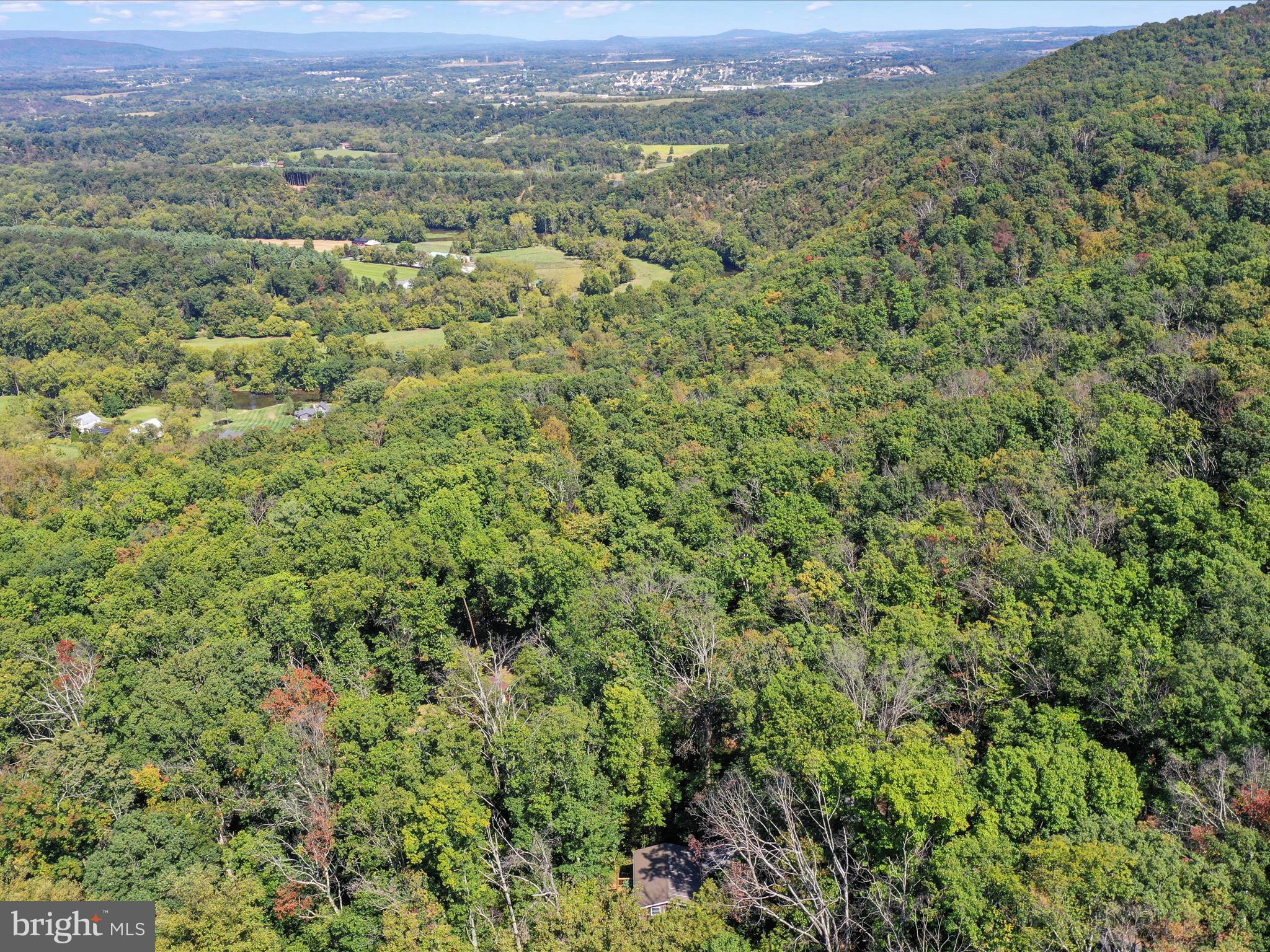 570 Cedar Road Strasburg, VA 22657 - Photo 38 of 47 a view of a field with a lush green forest