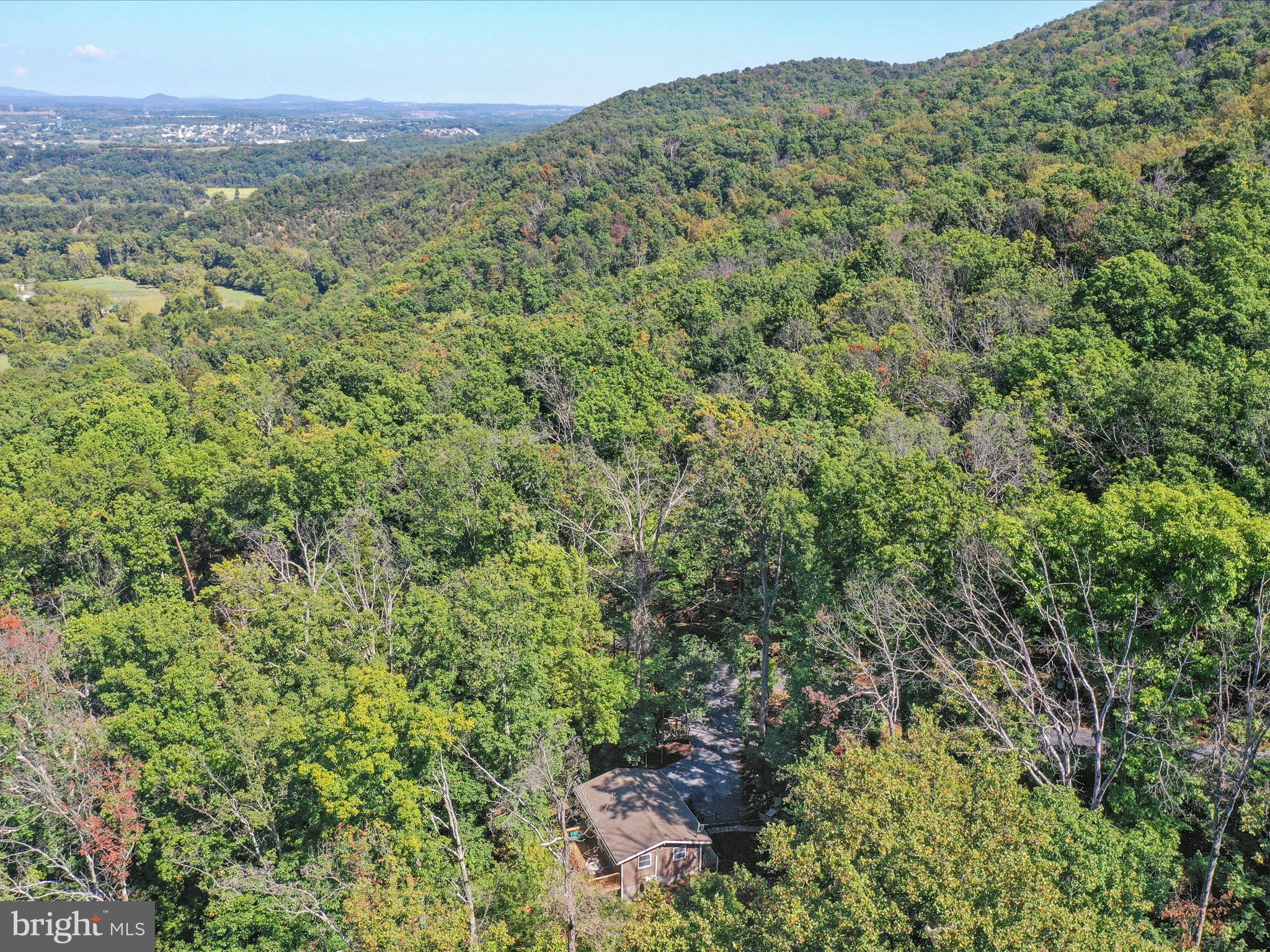 570 Cedar Road Strasburg, VA 22657 - Photo 41 of 47 a view of a lush green forest with trees in the background