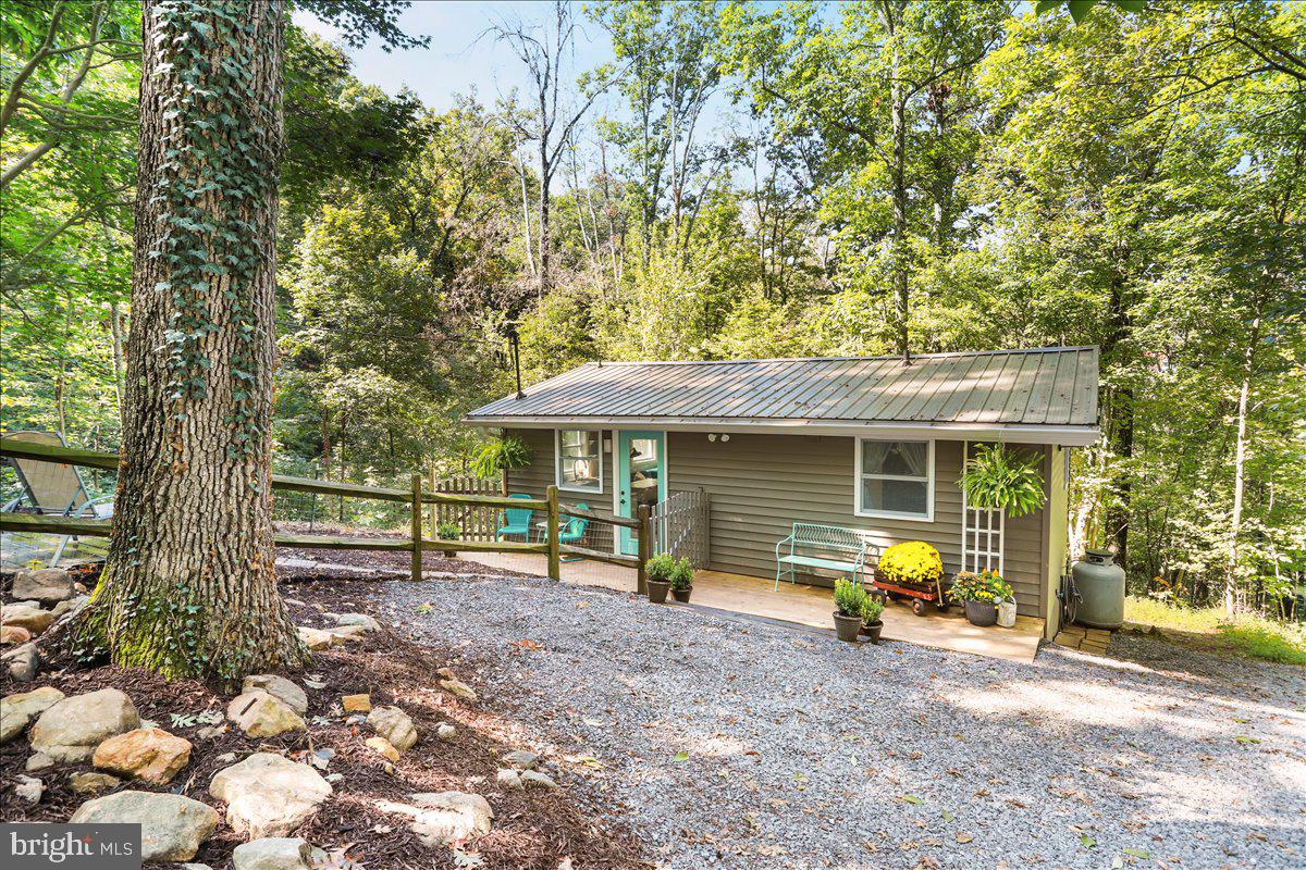 570 Cedar Road Strasburg, VA 22657 - Photo 43 of 47 a view of a house with backyard and a large tree