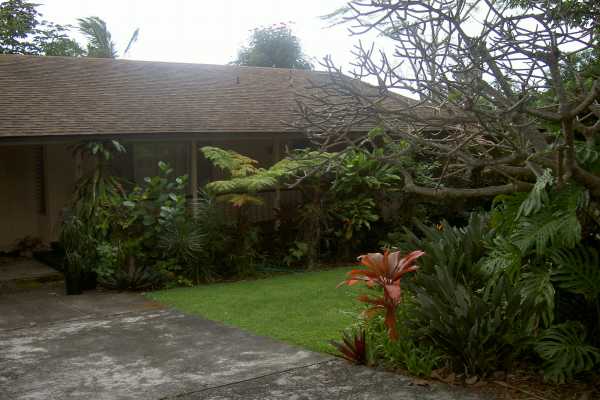 81-6247 Piko Road Captain Cook, HI 96704 - Photo 1 of 13 a backyard of a house with lots of green space