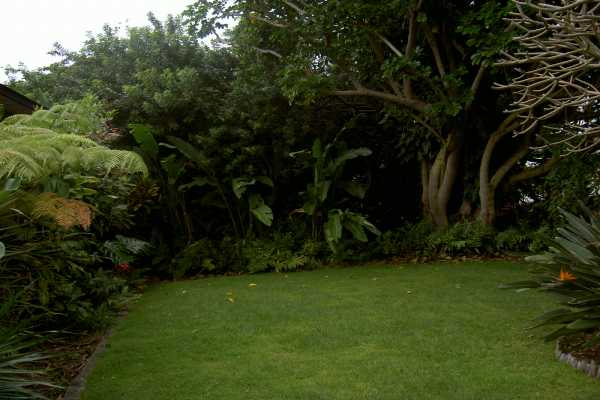 81-6247 Piko Road Captain Cook, HI 96704 - Photo 7 of 13 a view of a backyard