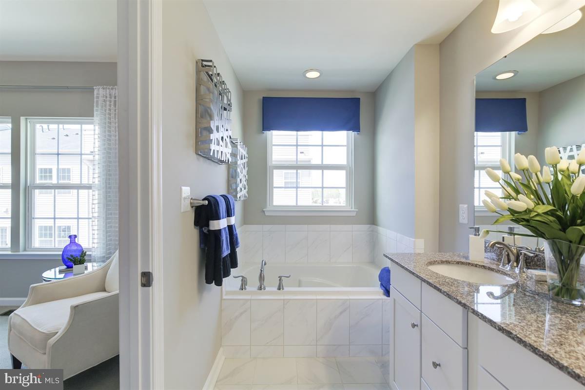 7850 Mine Run Road Hanover, MD 21076 - Photo 9 of 24 Primary Bath with Shower and Soaking Tub
