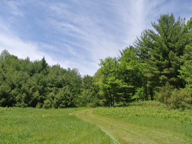 Lot 3 North Bluebird Road Lake Tomahawk, WI 54539 - Photo 7 of 20 Gallery Image 7