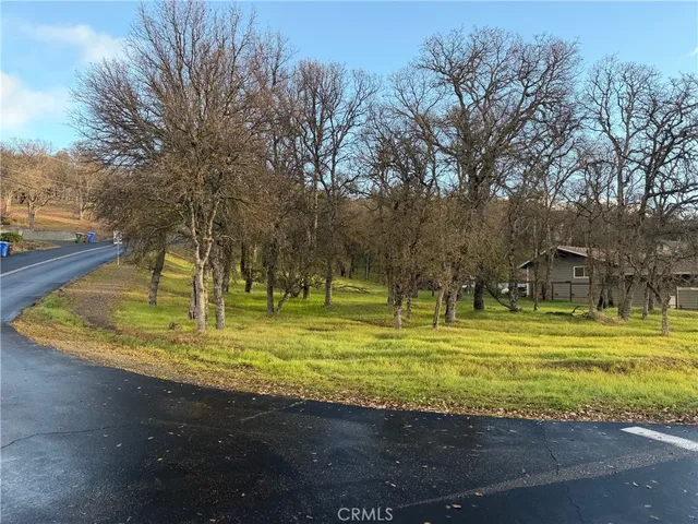 a view of a swimming pool with a yard and trees in the background