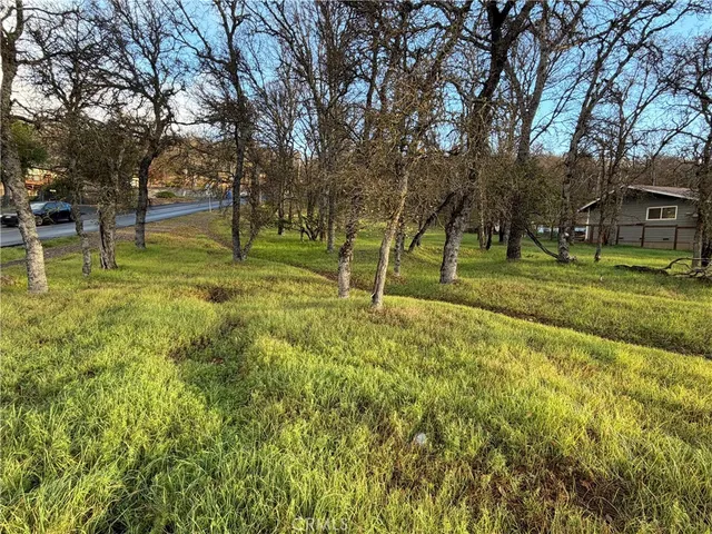 a view of a park with large trees