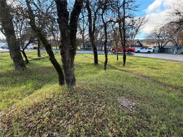 a view of a park with large trees