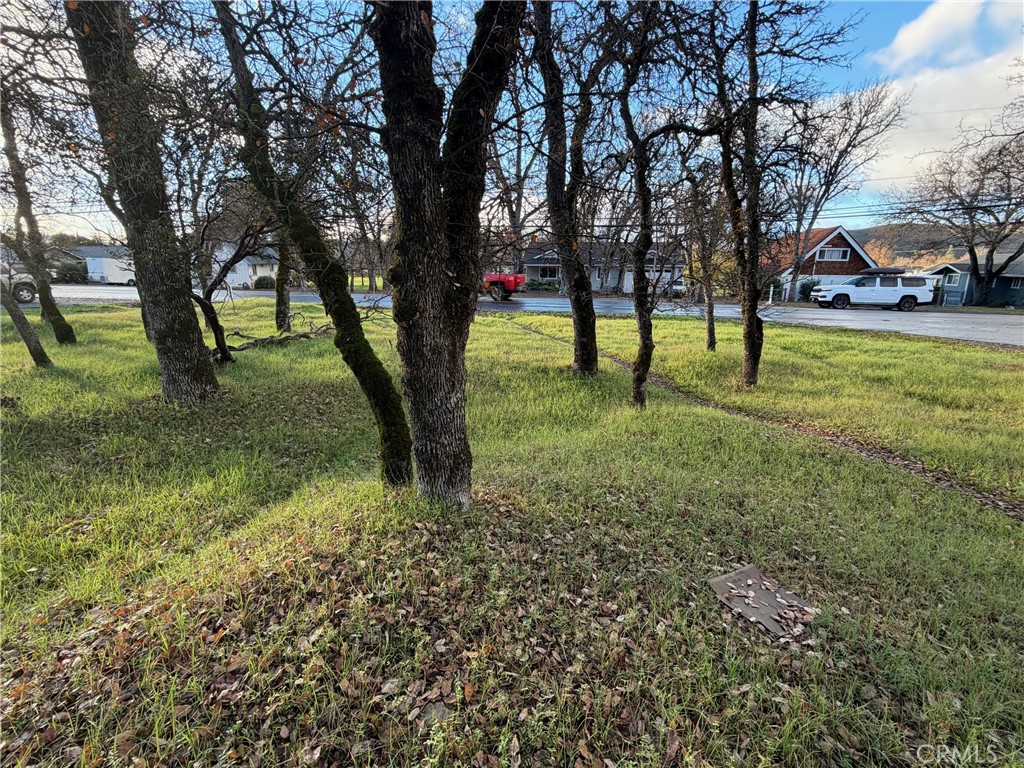 18796 Hidden Valley Road Hidden Valley Lake, CA 95467 - Photo 5 of 5 a view of yard with trees