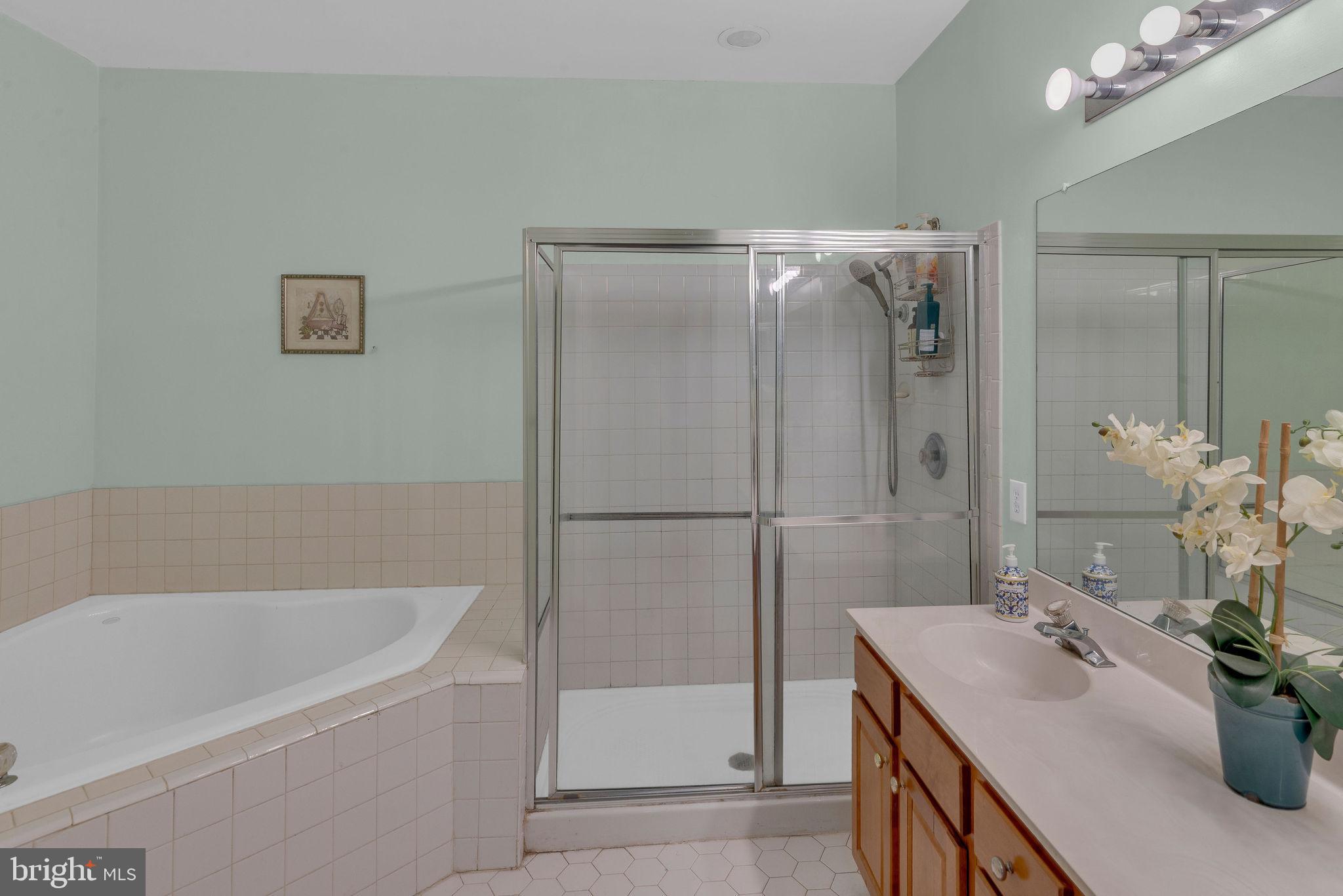 16 Cardiff Court Princeton Junction, NJ 08550 - Photo 24 of 60 a bathroom with a tub sink and mirror